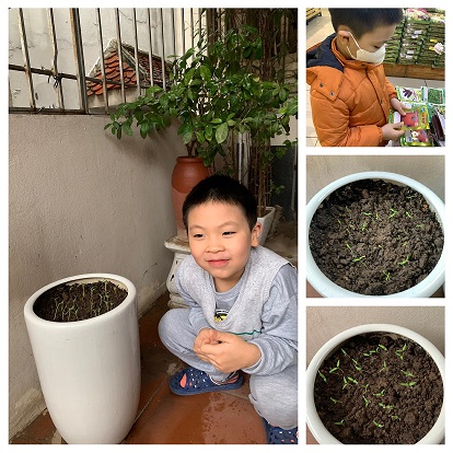 Các bạn nhỏ lớp 1A7 với Tết trồng cây mùa xuân