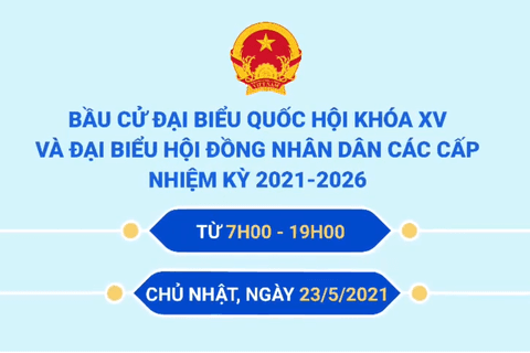 Quy trình bỏ phiếu bầu cử đại biểu Quốc hội và HĐND các cấp
