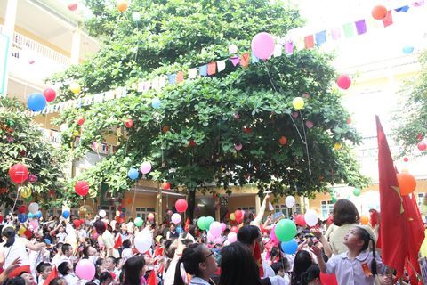 Thông báo Tuyển sinh lớp 1 năm học 2020 - 2021