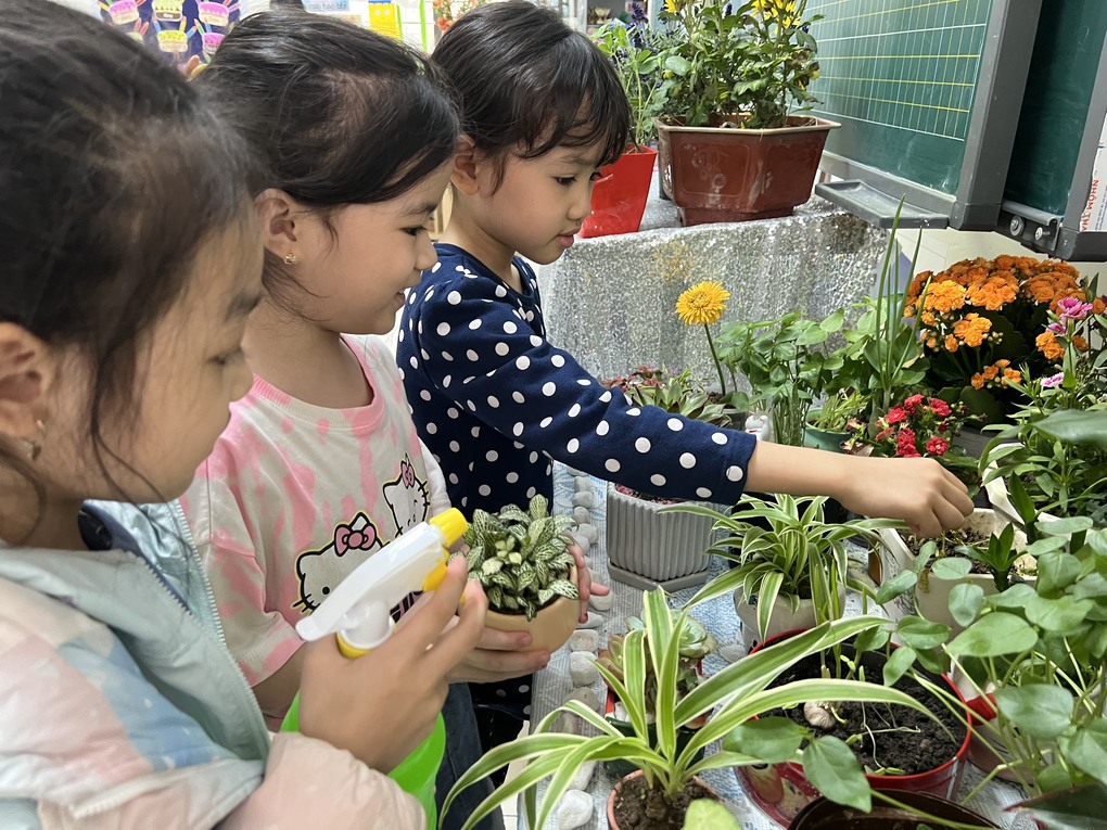 Những cây xanh đáng yêu trong Hội thi cây lớp 1A4 trường Tiểu học Thành Công B